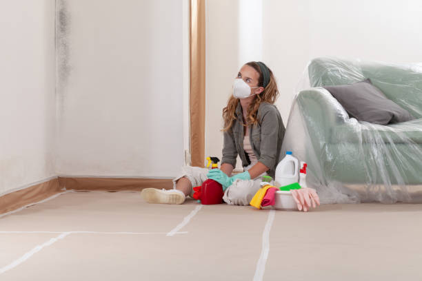 Reliable Mold Removal contractor in Raleigh, NC by Mold Remediation HQ